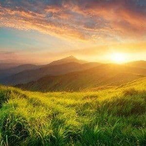 News and Articles